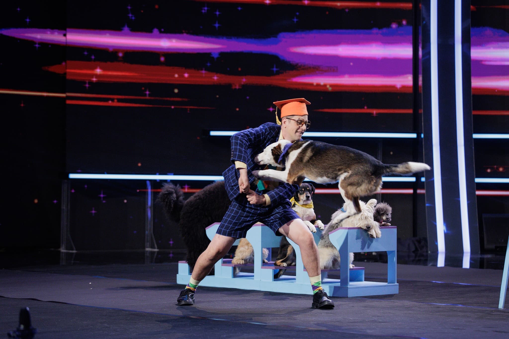 Dog trainer awes audience of Romania’s Got Talent