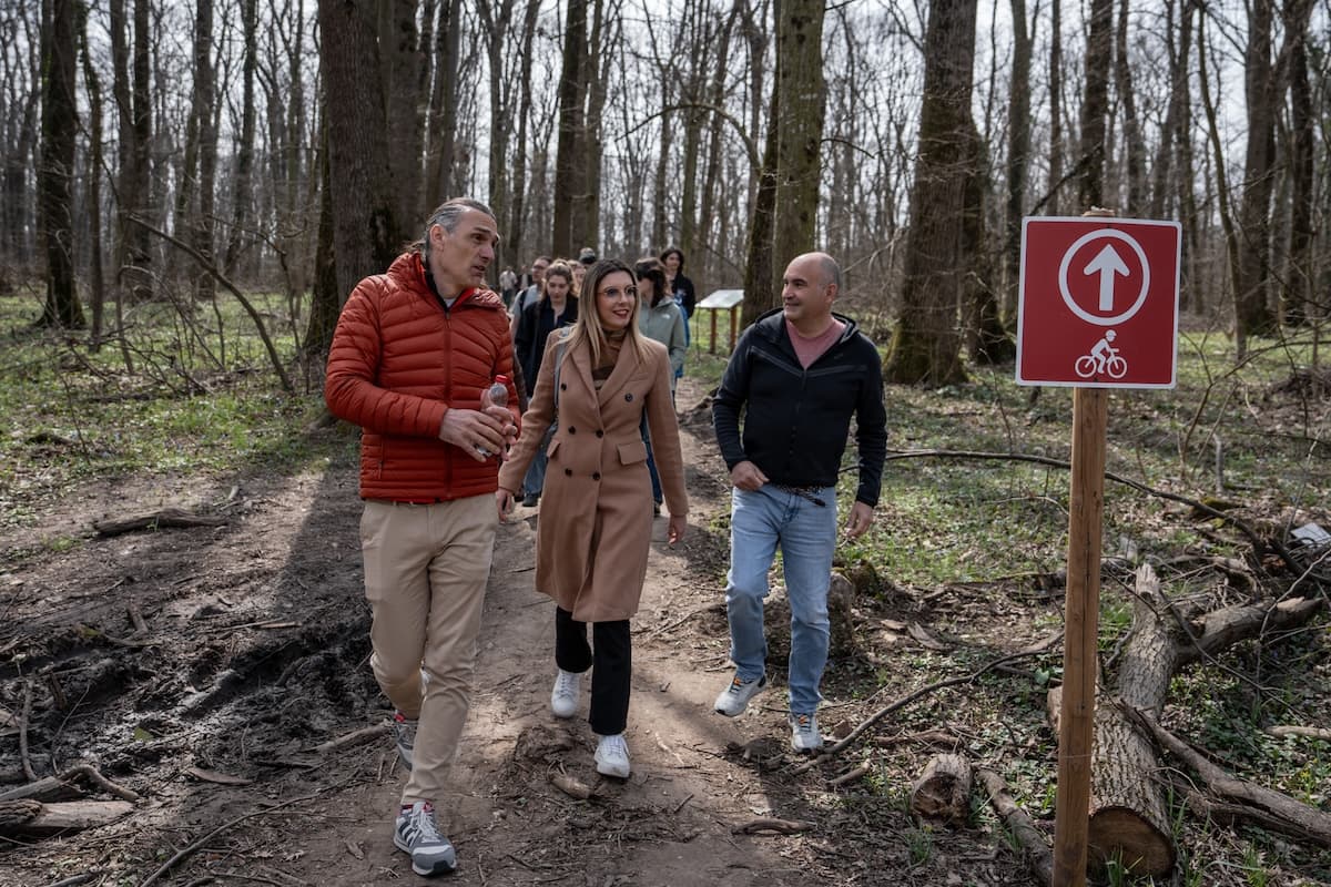 Bucharest’s Băneasa Forest takes first official step toward becoming protected natural park
