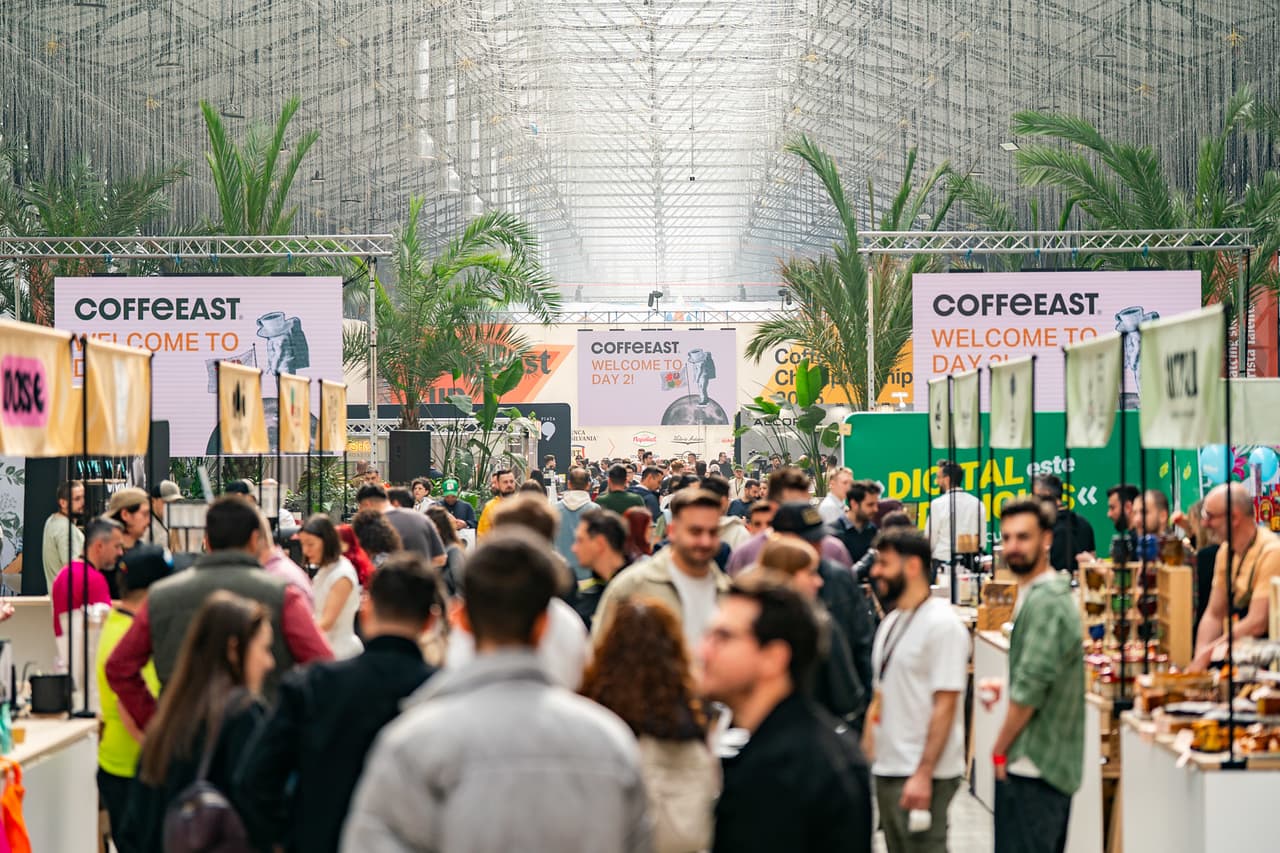 Weekend calendar: French Film Festival, COFFeEAST, SofistiCAT, Bookfest Timişoara