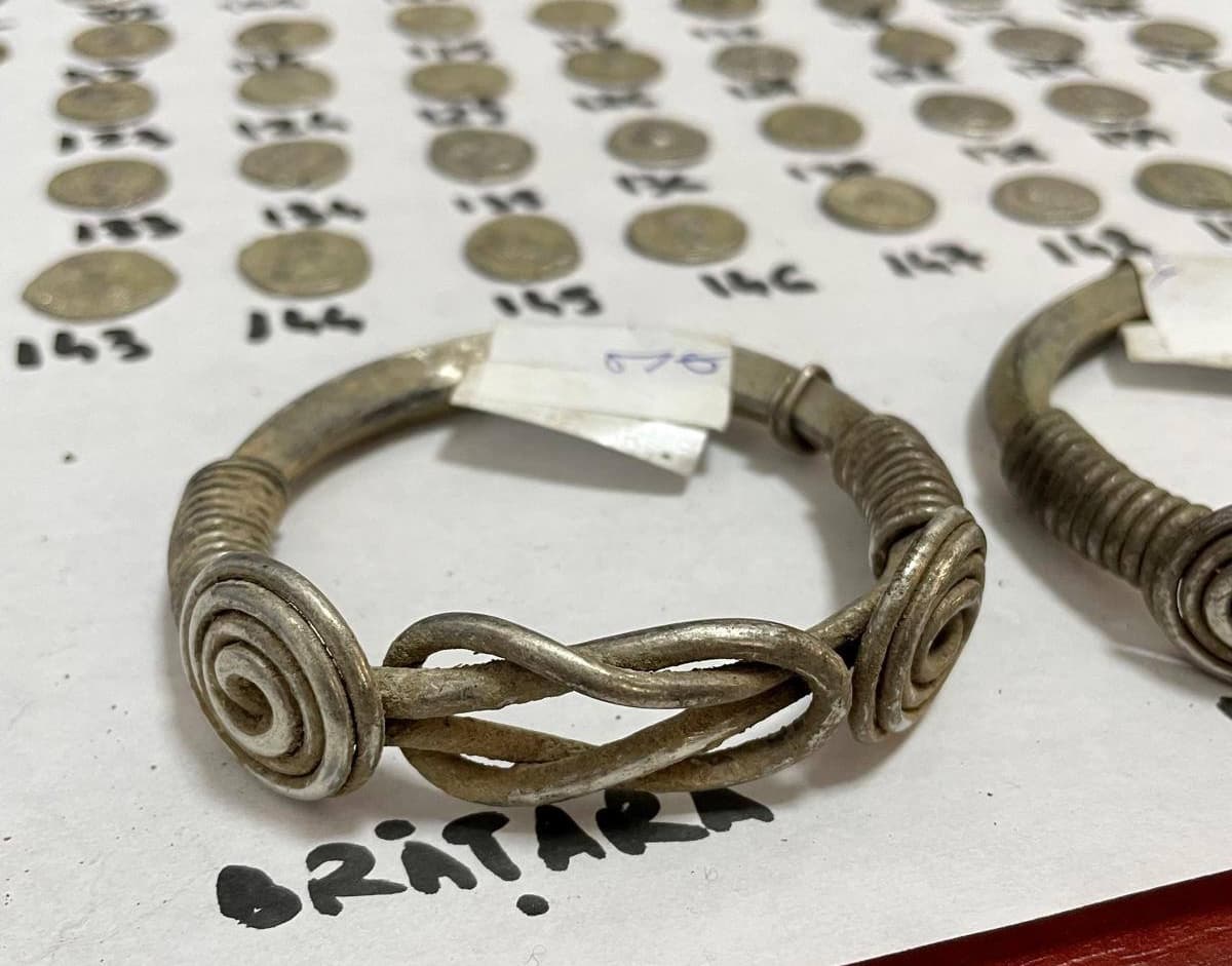 Treasure of ancient silver coins, Dacian bracelets discovered in Romania’s Botoșani county