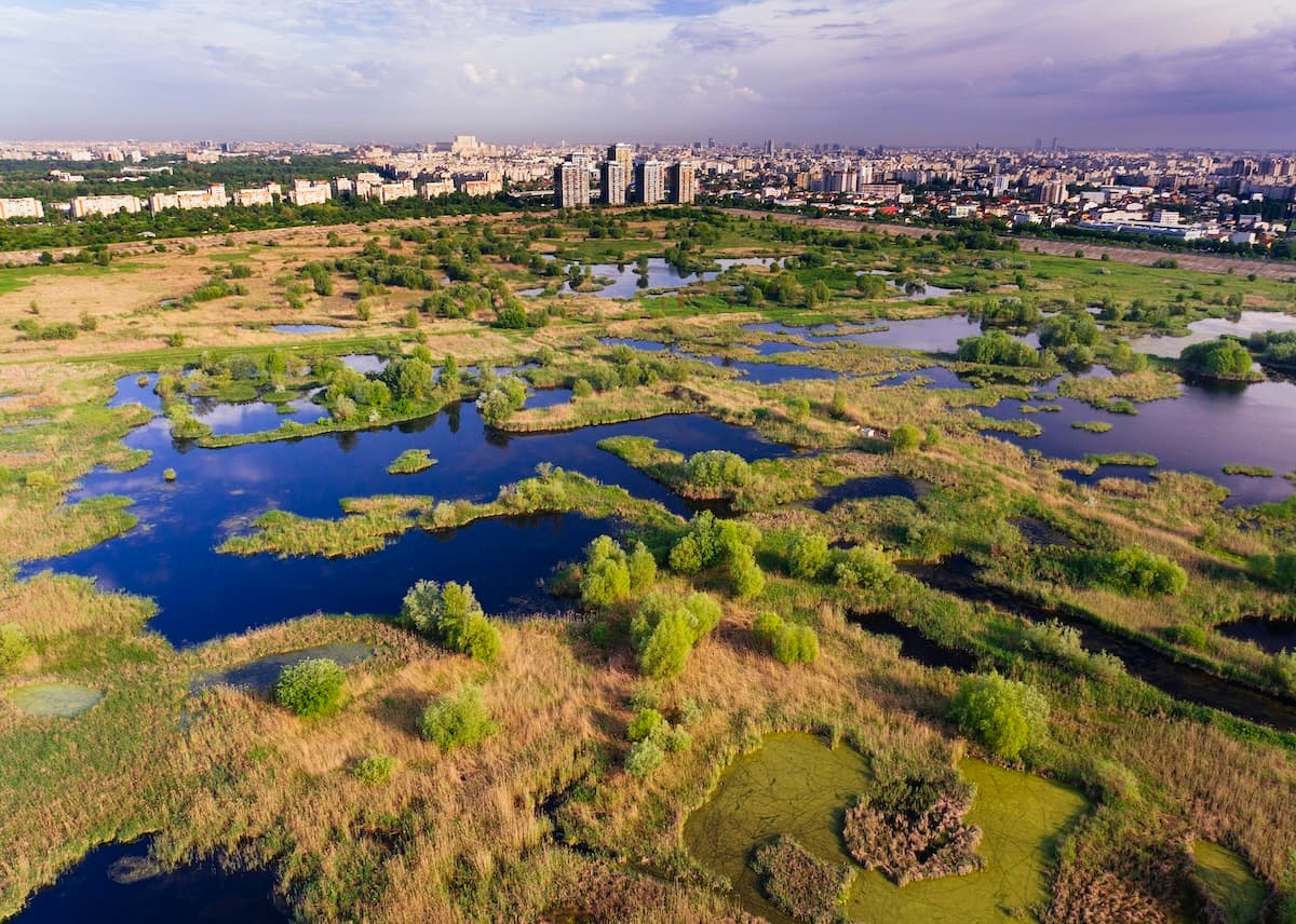Guided tours, workshops and music planned at Bucharest’s Văcărești Natural Park anniversary event