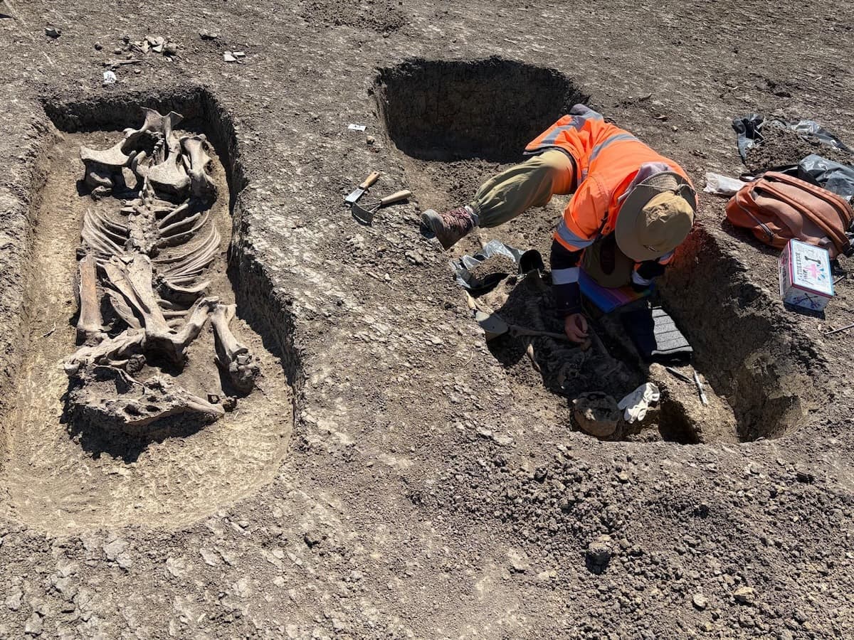 Ancient warrior grave with gold and silver artifacts unearthed along Timișoara West Ring Road