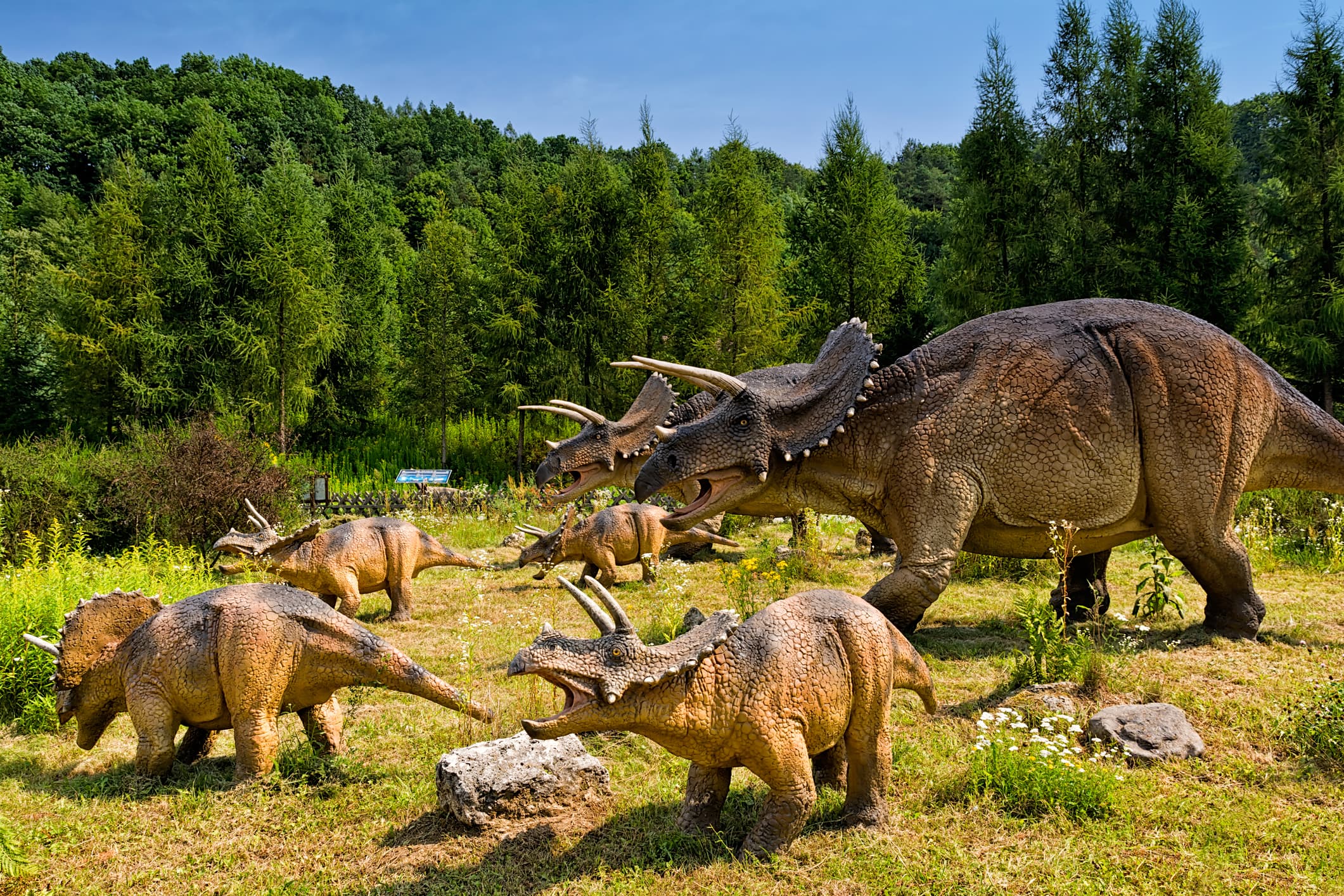 Western Romania: Town of Ineu to build dinosaur adventure park with EU funds