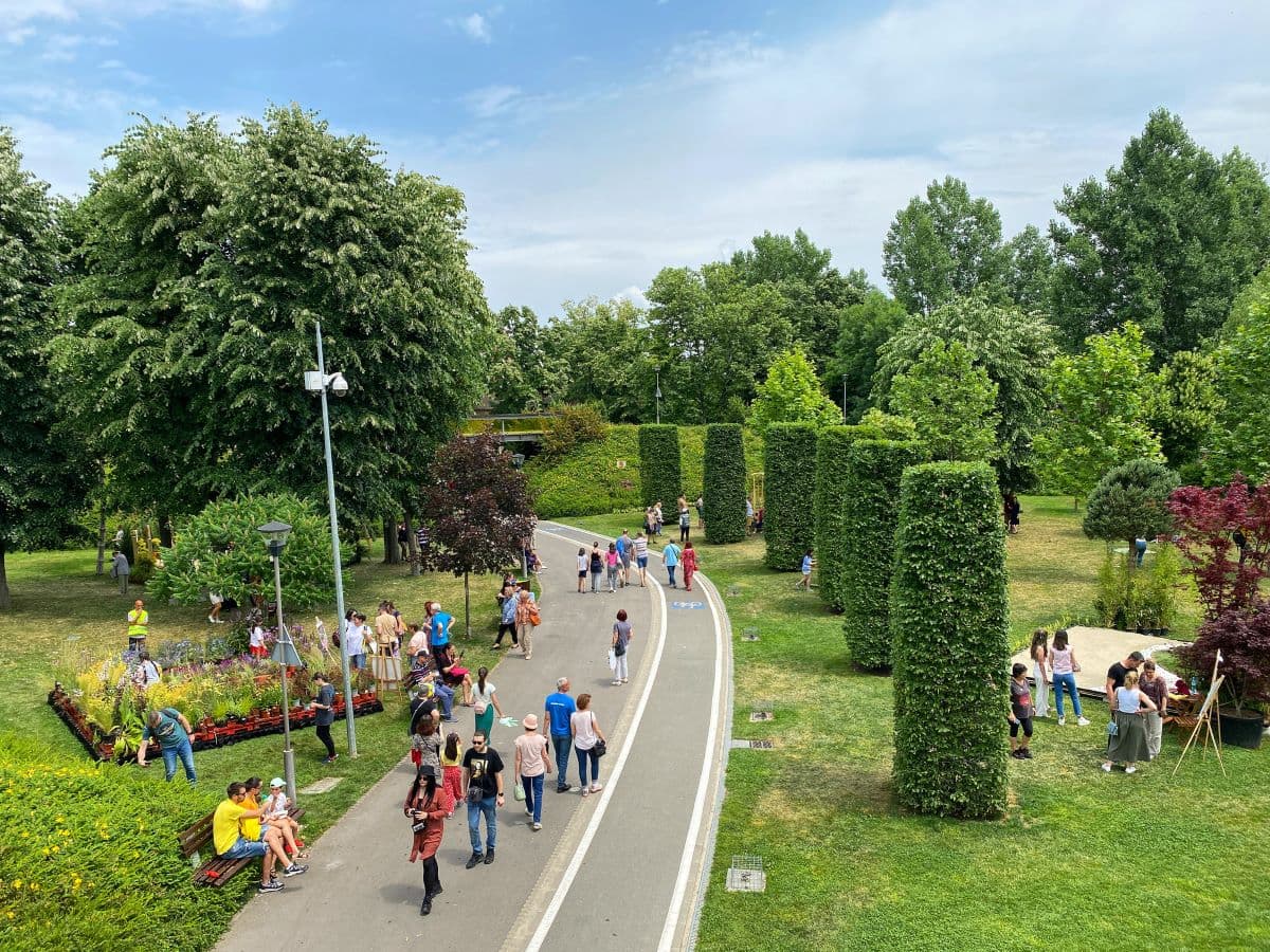 Weekend calendar: American Independent Film Festival, Bookfest, West Side Flower Fest, Green Hours Jazz Fest, Hello Doggie, Jazz in the Park in Cluj