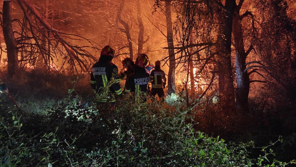 Romanian firefighters complete first wildfire mission in France