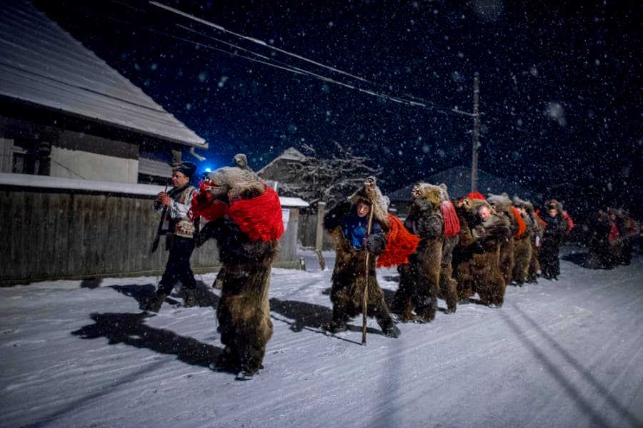 Romania’s dancing bears featured in the New York Times, CNN