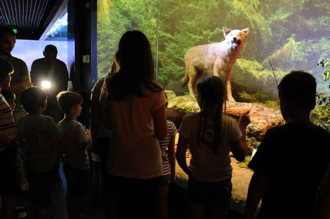 World Animal Day: People with animal names get to visit the natural history museum in Bucharest for free