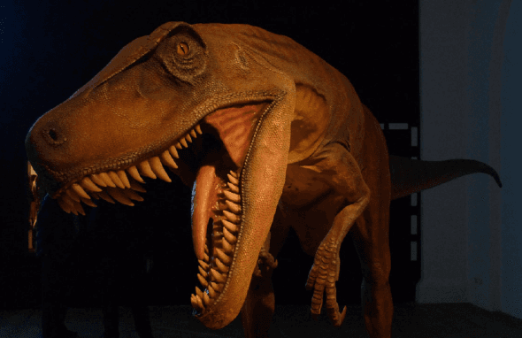 Argentinian dinosaurs arrive at Grand Cosmos in Bucharest's Baneasa area this month