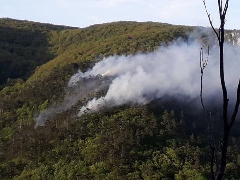 Fifth day of fire at nature park in western Romania