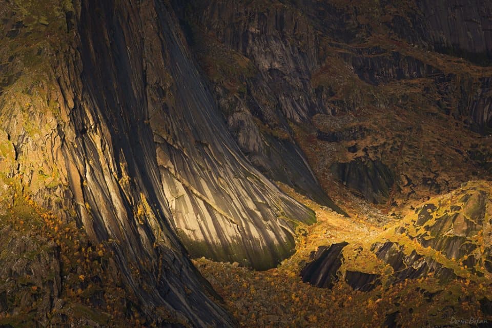 Romanian wins UK wildlife photography award