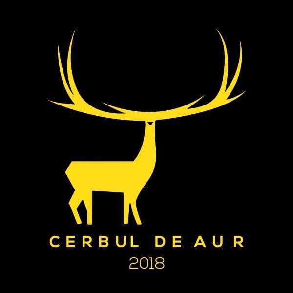 Popular music festival in Romania returns after nine-year break