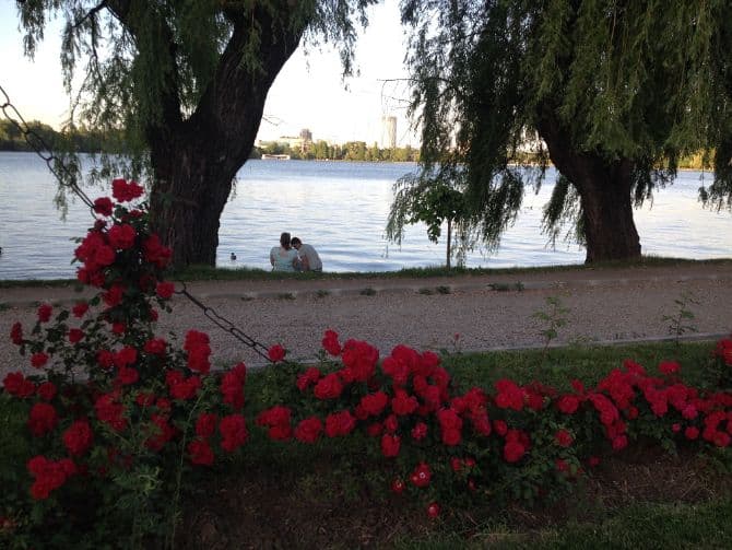 Ethnic festival and piano recitals in Bucharest park this weekend