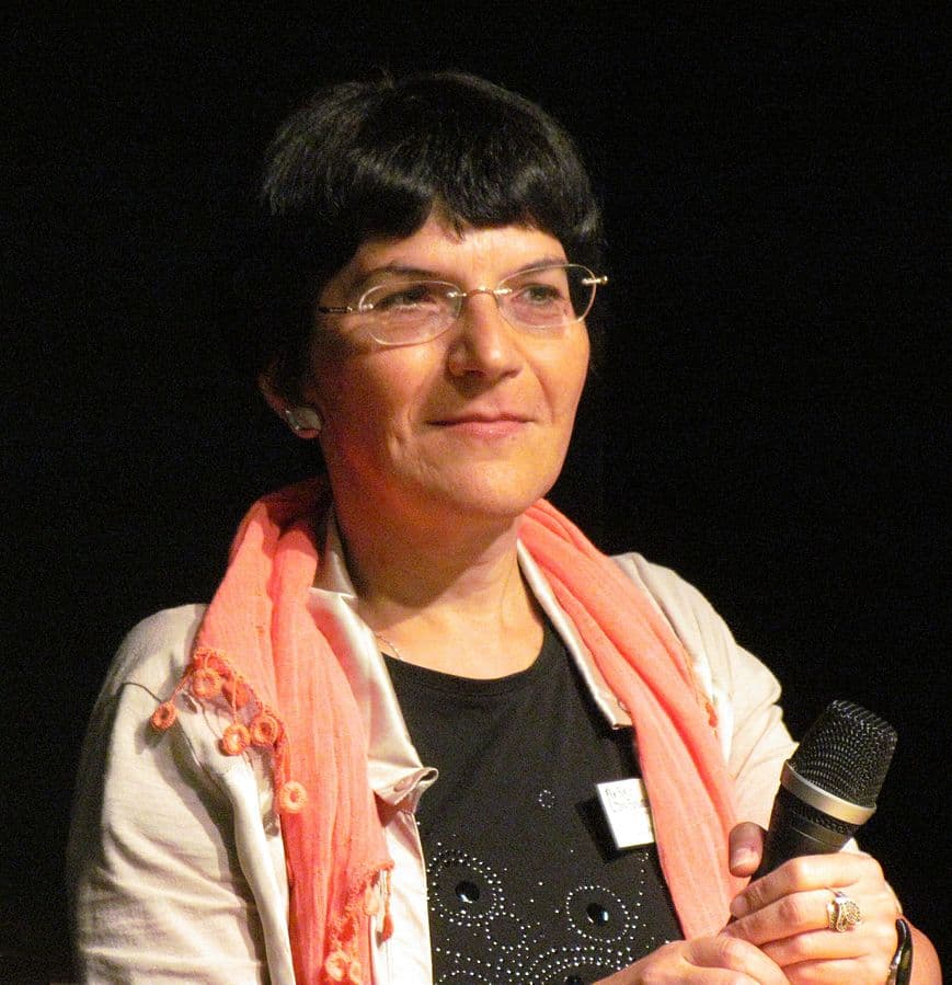 Romanian writer Ioana Pârvulescu wins EU short fiction award