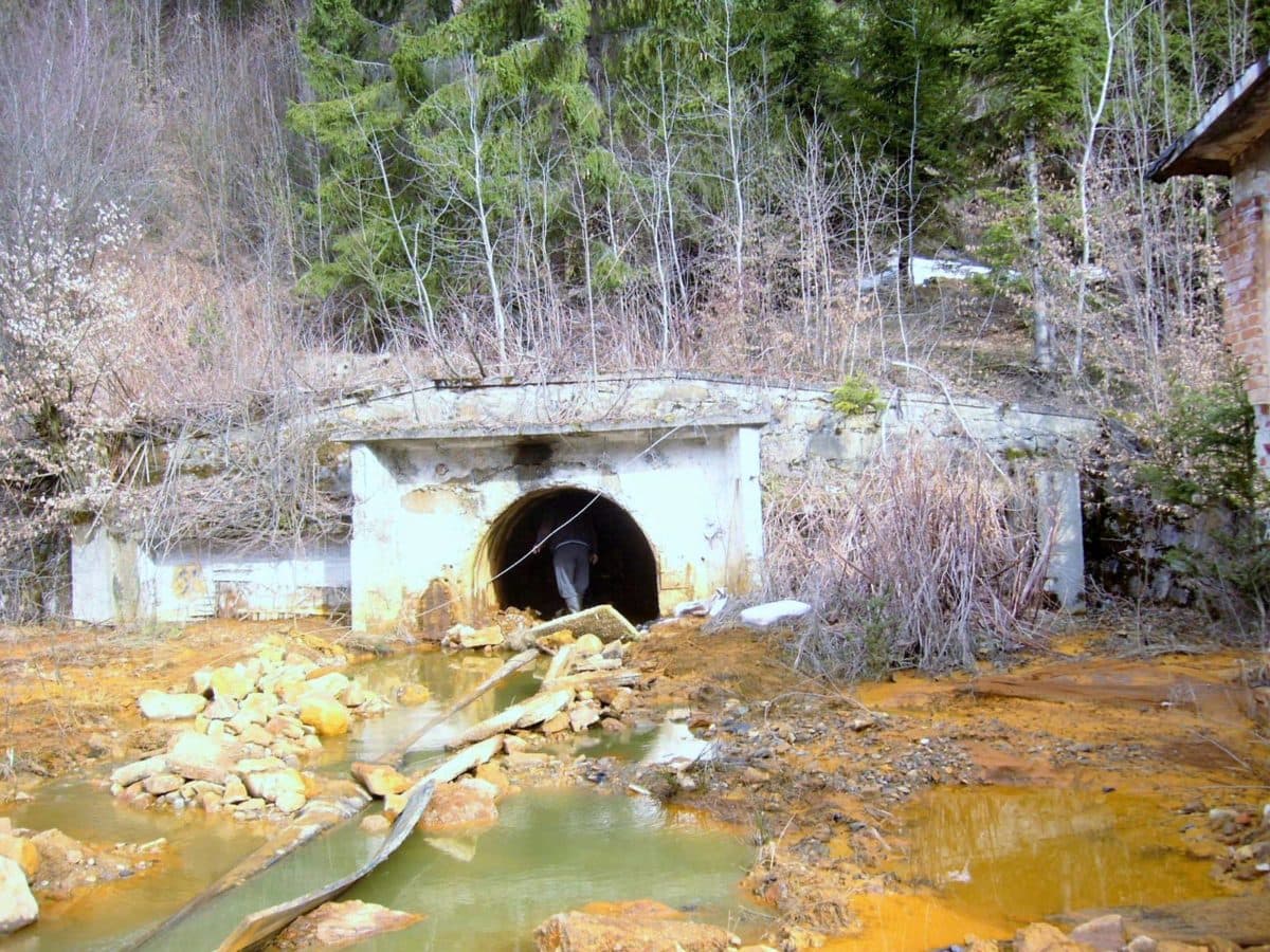 Accidental pollution in northern Romania impacts regional river ecosystem