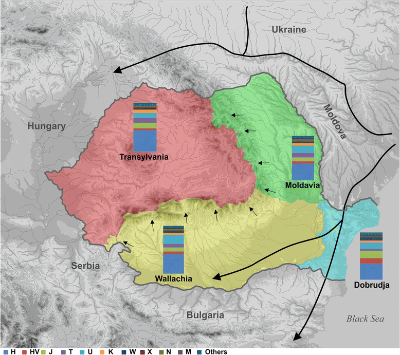 DNA study shows Romanians are divided by genetic roots and affinities
