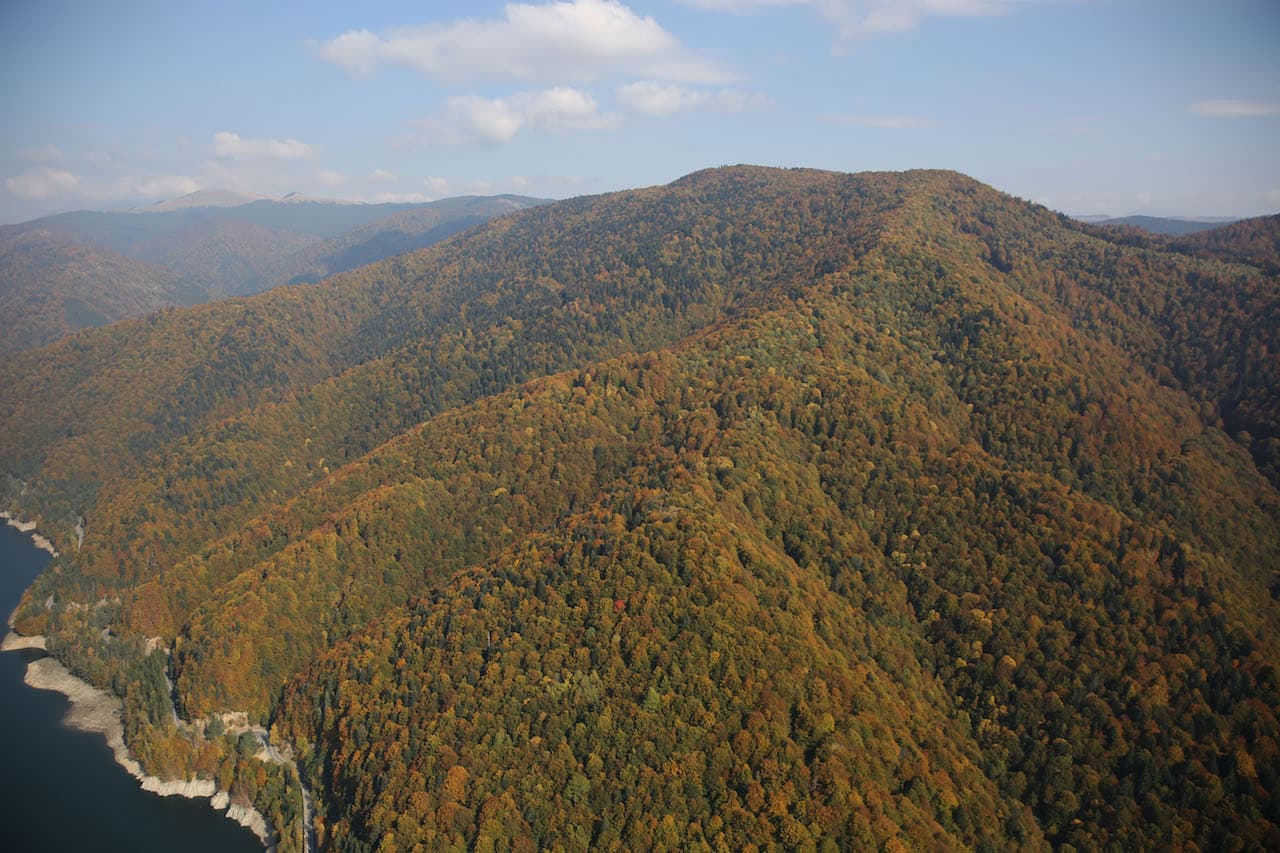 Nature in Făgăraș Mountains: The mixed mountain forests in Romania