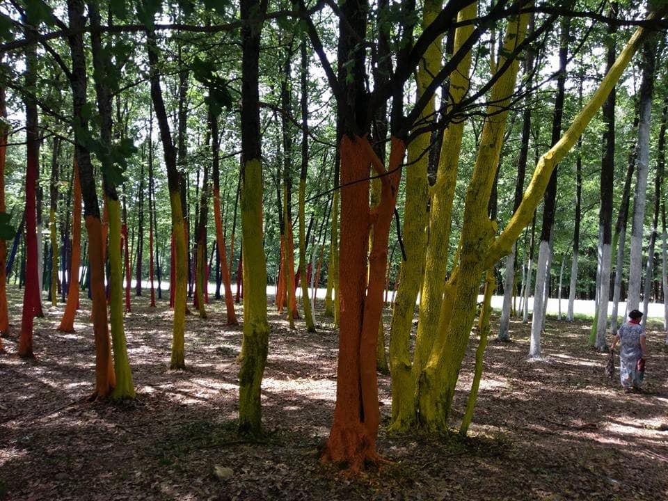 Romanian artist colors hundreds of trees to protest against illegal logging