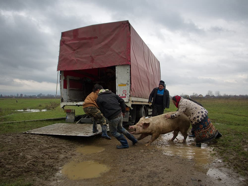 Four Romanian photographers compete for the Sony World Photography Awards