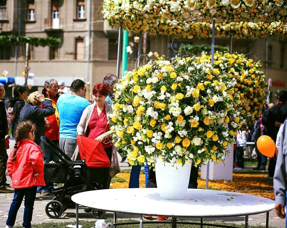 Western Romania city organizes festival of flowers this month
