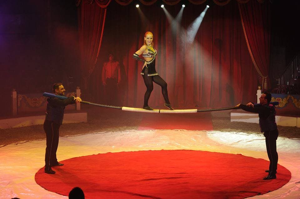 Bucharest hosts International Circus Festival this week