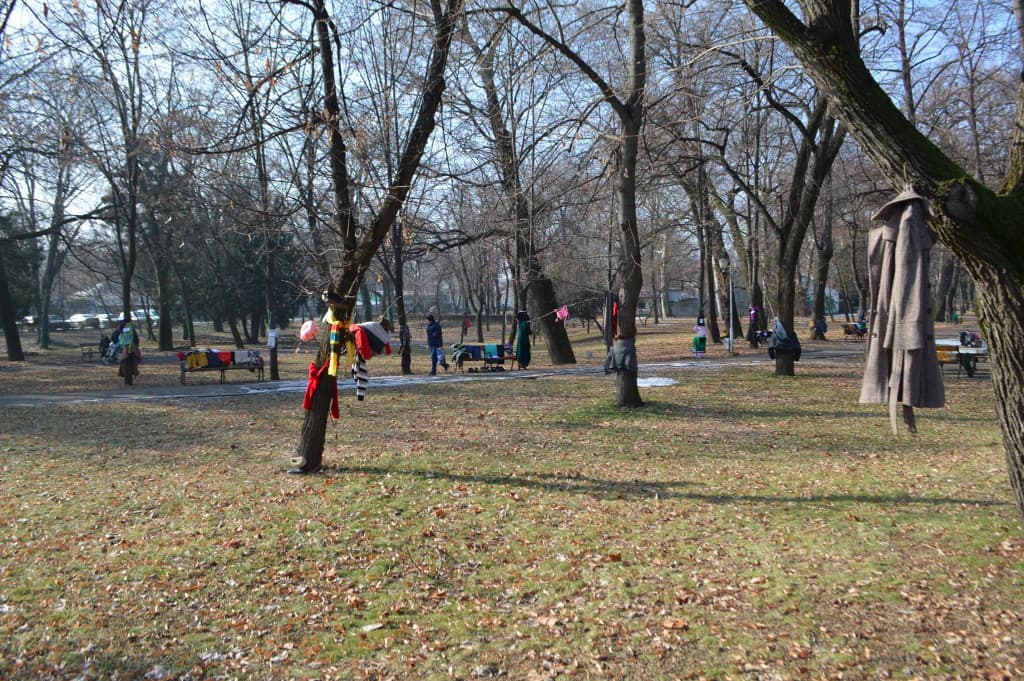 Timisoara residents leave winter clothes in trees for the homeless