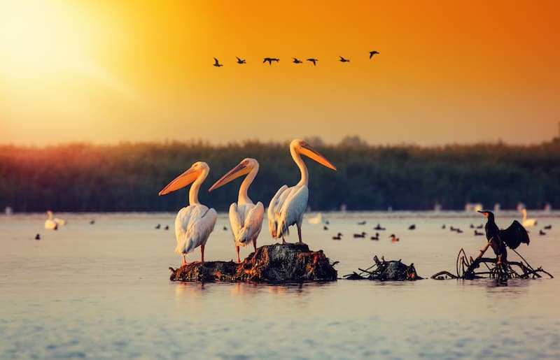 Romania’s Danube Delta can be explored virtually with Google Street View