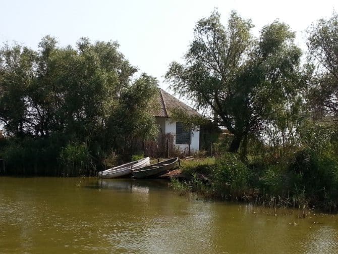 Romania spends EUR 3.5 mln to clone a piece of its Danube Delta at the Milan World Fair