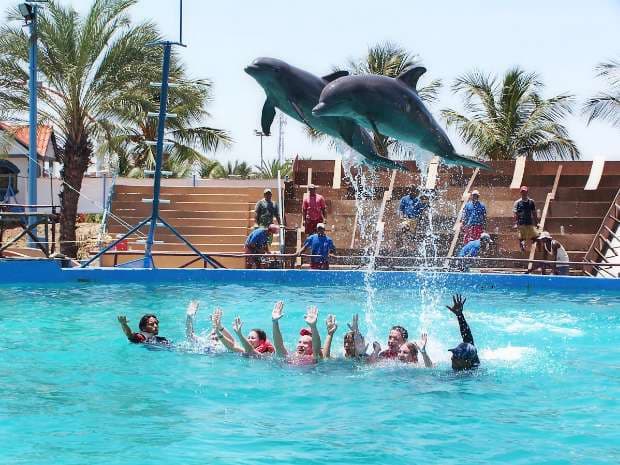 Dolphinarium in Romania's seaside city Constanta to get facelift and expansion with EUR 2.8 mln