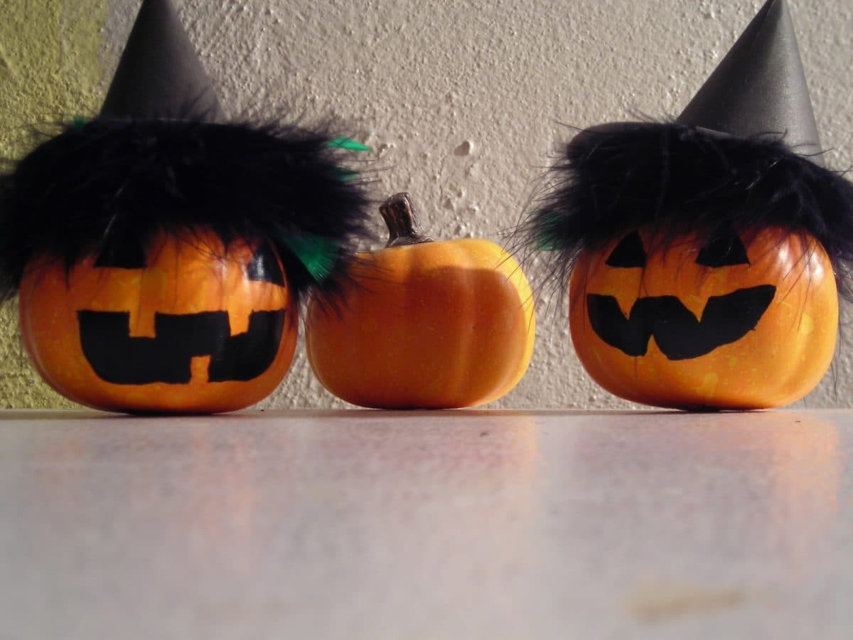 Weekend calendar: Halloween events, SoNoRo festival, movie openings