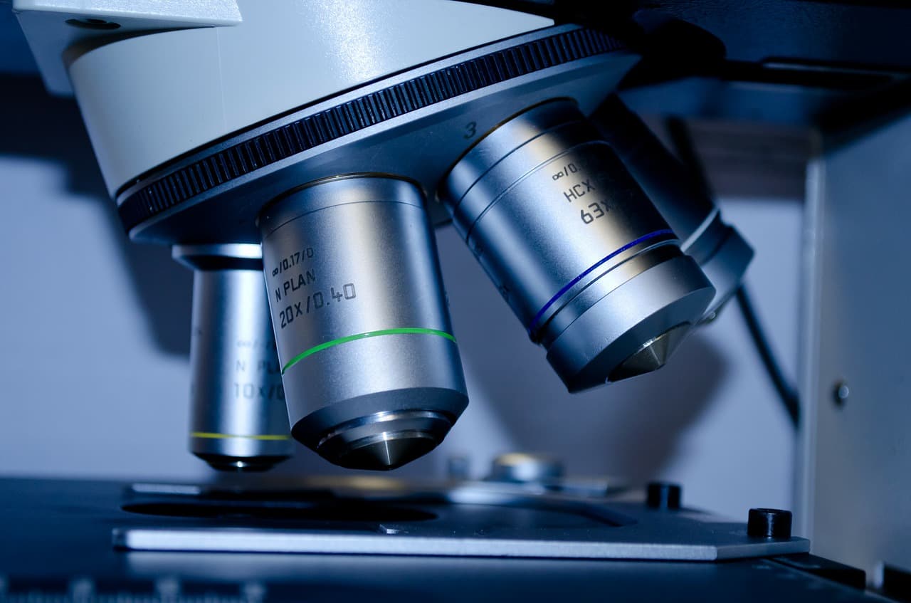 Twenty cases of rare hereditary disease found in NE Romania village