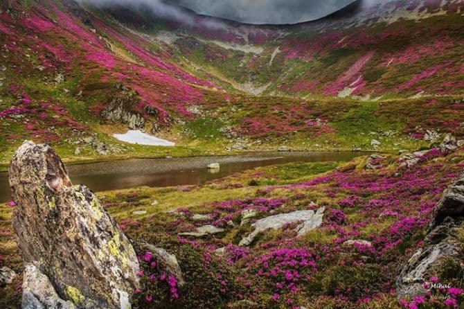 National Geographic publishes photo made by Romanian in Rodna Mountains