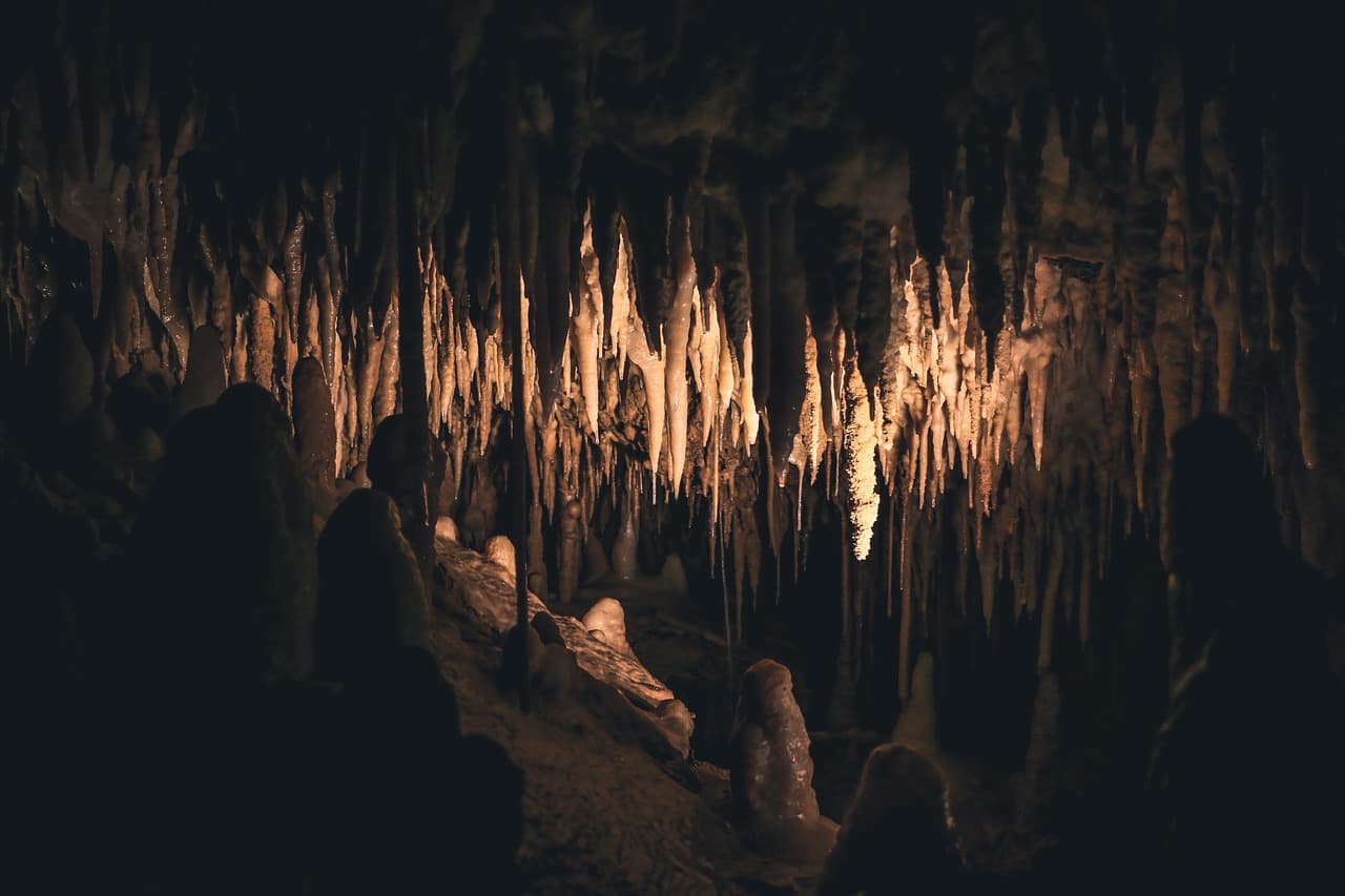 Romanian researchers examine causes of Neanderthals’ disappearance
