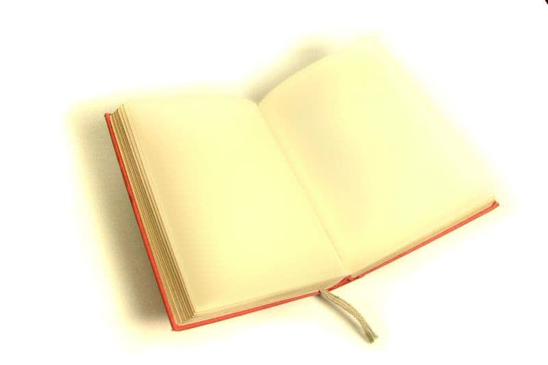 Moldovan Parliament commissions pass introduction of Romanian language in constitution
