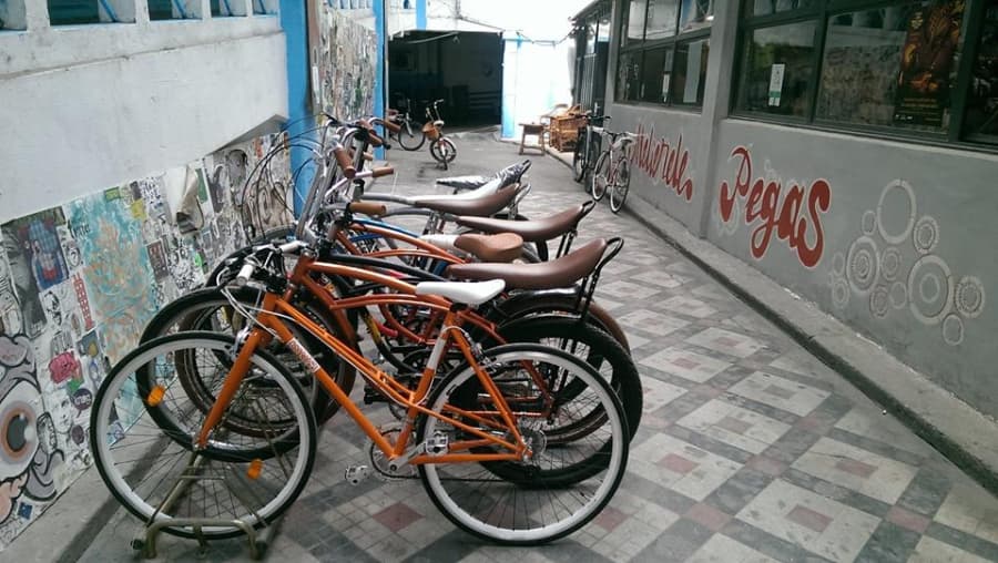 Head of biggest RO online retailer eMAG takes over troubled bicycle producer Pegas