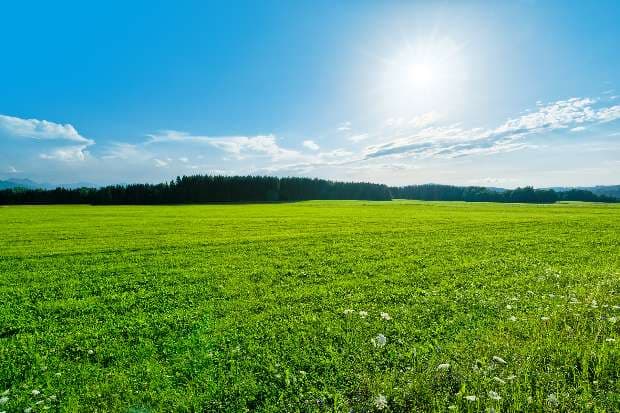 Warm and sunny weather continues for the beginning of May in Romania