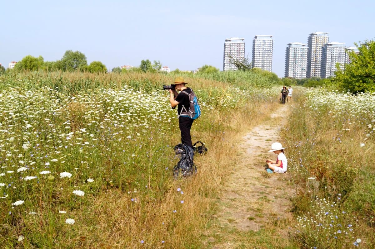 Birdwatching tours in Bucharest’s Delta this weekend