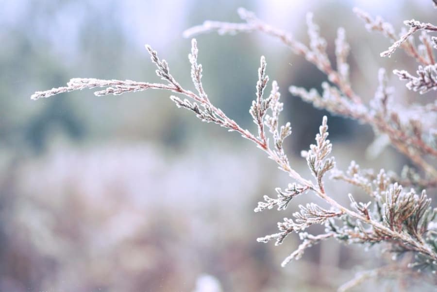 Weather gets extremely cold in Romania