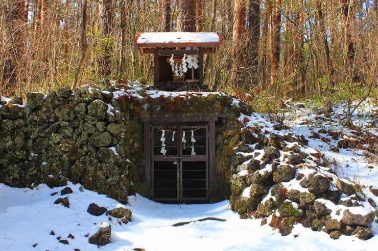 Romanians ready unique tree mold caves for tourists in Mures county