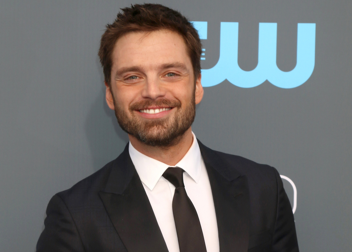 Actorul născut în roman, Sebastian Stan, îl interpretează pe Tommy Lee în seria Hulu, cu opt episoade