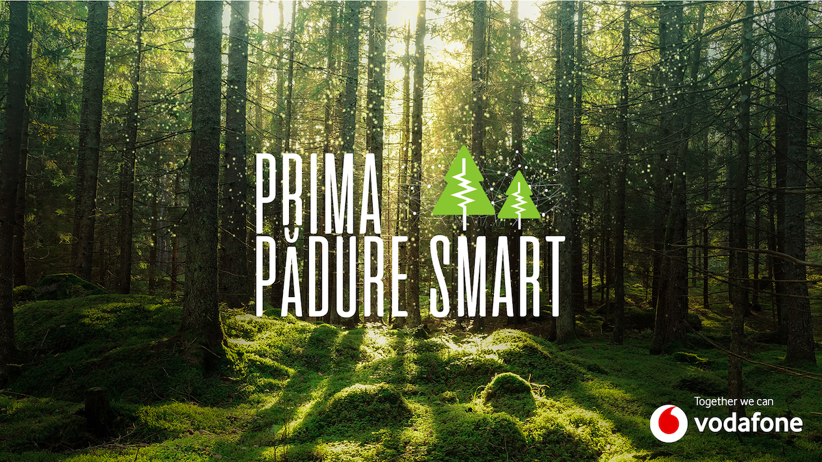 O soluție de „pădure inteligentă” pentru prevenirea tăierii ilegale, implementată în România O soluție de „pădure inteligentă” pentru prevenirea tăierii ilegale, implementată în România