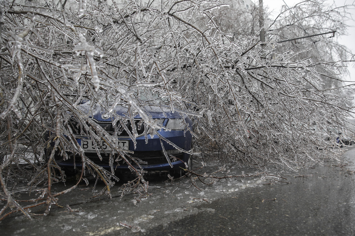 Hundreds of trees down, cars damaged in Bucharest after freezing rain