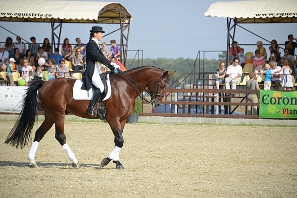 P Salon Du Cheval Bucharest Third Edition Equitation Magic And