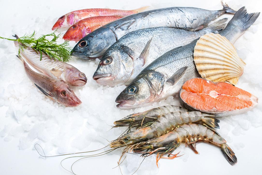 Romania's fish market expected to reach EUR 380 mln this year - Romania ...