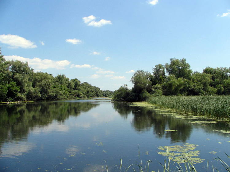 Danube Delta leads the top tourist destinations in Romania in the 2016